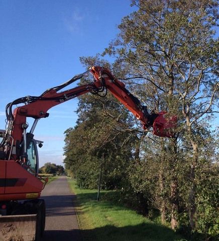 Baggerarbeiten an einem Baum